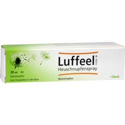 Grüne Schachtel von Heuschnupfenspray mit Löwenzahnmotiv.